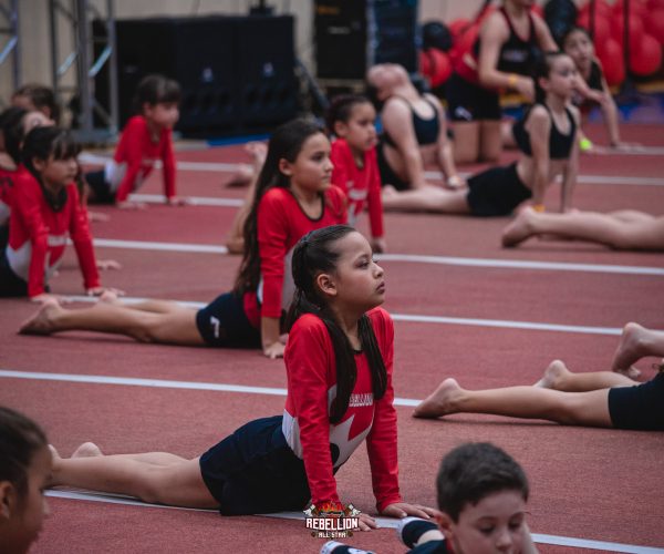 Cópia de HCP_3727